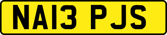 NA13PJS