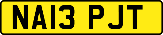 NA13PJT