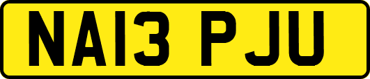 NA13PJU