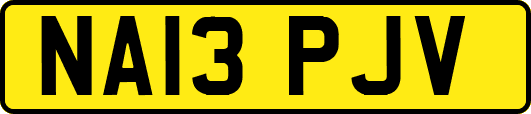 NA13PJV