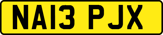 NA13PJX