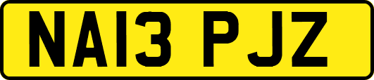 NA13PJZ