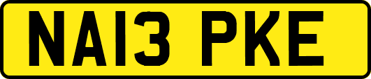 NA13PKE