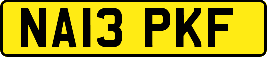 NA13PKF