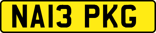 NA13PKG