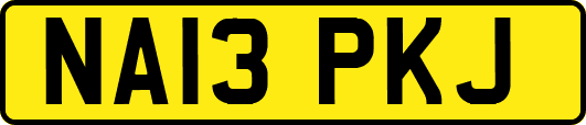 NA13PKJ