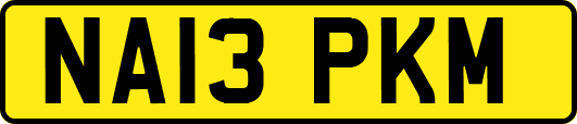 NA13PKM