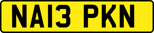 NA13PKN