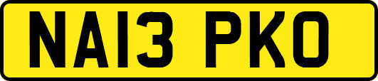 NA13PKO