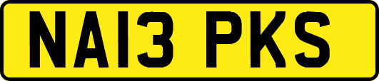 NA13PKS