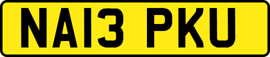 NA13PKU