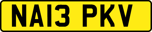 NA13PKV