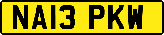 NA13PKW