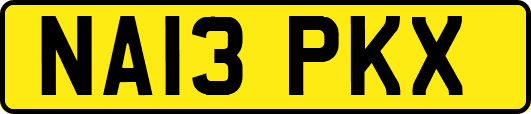 NA13PKX
