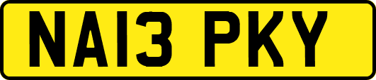 NA13PKY