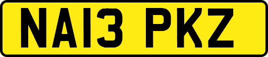 NA13PKZ