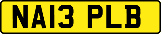 NA13PLB