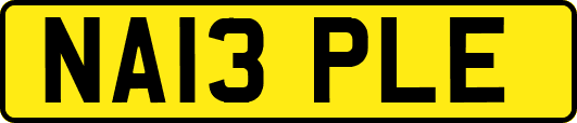 NA13PLE