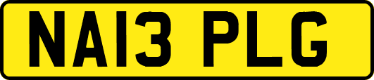 NA13PLG