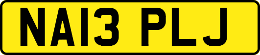 NA13PLJ
