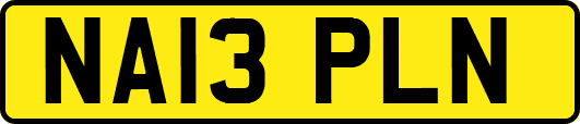 NA13PLN