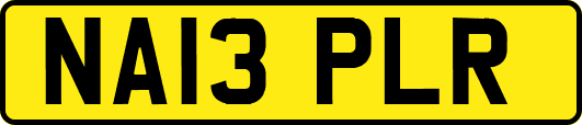 NA13PLR