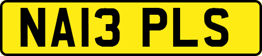 NA13PLS