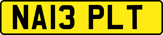 NA13PLT