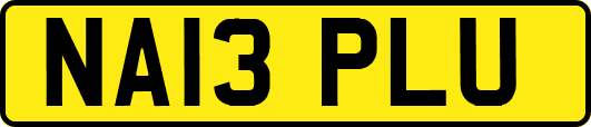 NA13PLU