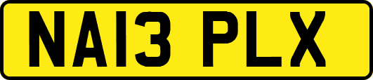 NA13PLX