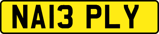 NA13PLY