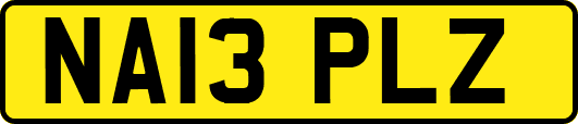 NA13PLZ