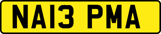 NA13PMA