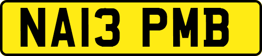 NA13PMB