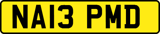 NA13PMD