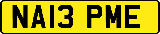 NA13PME