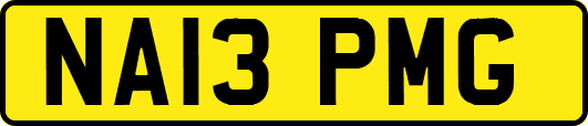 NA13PMG