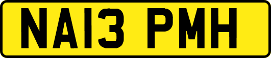 NA13PMH