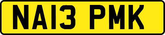 NA13PMK