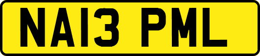 NA13PML