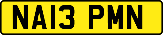 NA13PMN