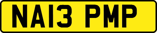 NA13PMP