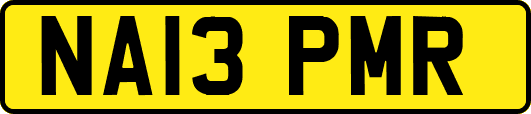 NA13PMR
