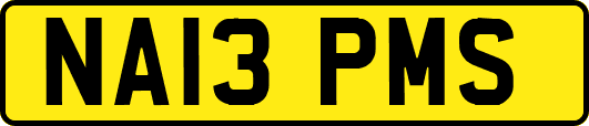 NA13PMS