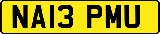 NA13PMU