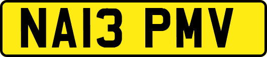 NA13PMV