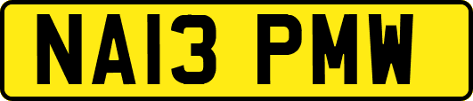 NA13PMW