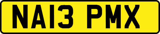 NA13PMX