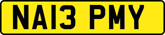 NA13PMY