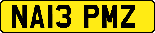 NA13PMZ